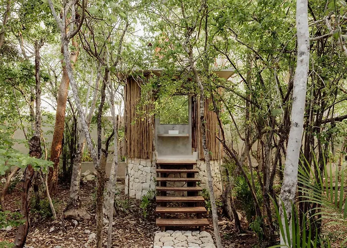 Jungle For 21 - Pool, Yoga & Concierge * Tulum
