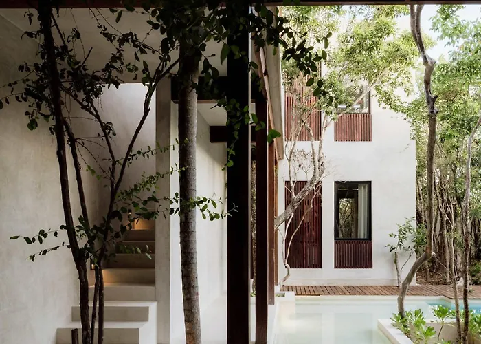 Jungle For 21 - Pool, Yoga & Concierge Holiday home Tulum