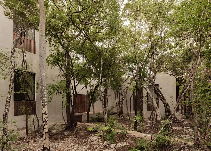 Jungle For 21 - Pool, Yoga & Concierge Tulum